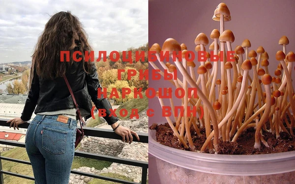 COCAINE Дмитриев
