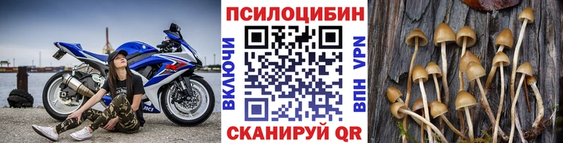 купить закладку  Новочеркасск  Галлюциногенные грибы мицелий 